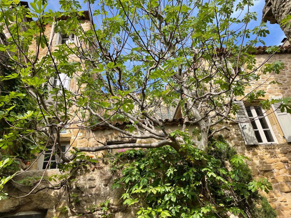 Le Petit Egregore, Patio Et Climatisation Lauris Extérieur photo